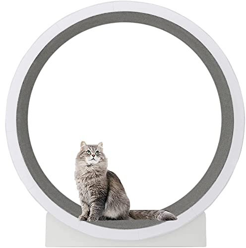 YKMYXZ, Katzenlaufrad for Hauskatzen, großes Katzenlaufrad, Katzenlaufrad mit Teppichlaufbahn