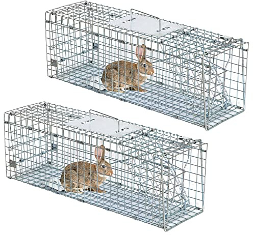 JungleA Animal Trap 24 Inches Cage Trap 1-Iron Door Foldable Live Catch Cage Catch Release Humane Rodent Cage for Raccoons, Cats, Groundhogs, Opossums,Squirrel, 2 Pack