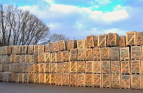 Heinrichs Agrar Brennholz Buche-Laubholz-Mix 1RM auf der Palette trocken sofort zu verwenden aus der Layenmühle