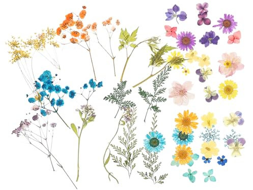 LALAFINA 4taschen Deko Trockenblumen Gepresst Handgefertigte DIY Blüten Für Basteldekoration Make-up Maniküre Und Scrapbooks Langlebig Und Natürlich Getrocknet