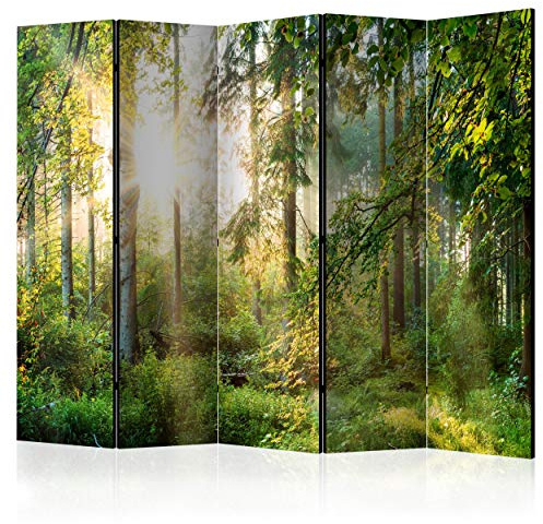 decomonkey Paravent Raumteiler Innen Wald Natur, 225x172 cm, 5-teilig | Beidseitig, Wohnzimmer, Room Divider, Wall, Raumteiler Stehend, Trennwand, Sichtschutz, Spanische Wand, Sichtschutzwand, Holz