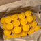 30 velas de té HappBee® de cera de abeja, color amarillo miel y perfumadas puramente naturales, hechas a mano, embalaje respetuoso con el medio ambiente