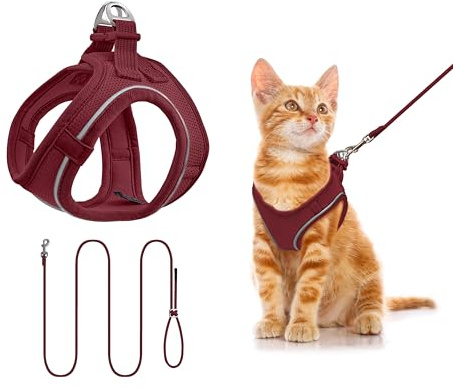 Hundegeschirr mit Leine 255cm XS Set, Reflektierend (Weinrot) | Brustgeschirr Für Kleine Hunde & Katzen, Atmungsaktives Mesh, Anti-Ausbruch, Weich, Spaziergang