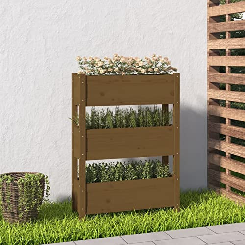 Iiaky Jardinière Marron Miel 77x25x104,5 cm Bois Massif de pin,Jardiniere sur Pieds,Bac avec Treillis,Jardiniere Terrasse