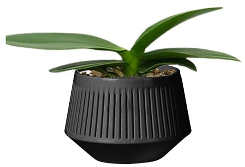 Orchideentöpfe – Atmungsaktiver Orchideen-Pflanzgefäß | doppellagige Wurzelkontrolle für Hydrokulturen, Bewässerung von lebenden Pflanzen, Afrikanische Veilchen, Zimmerpflanzen, Kindergarten, blühende