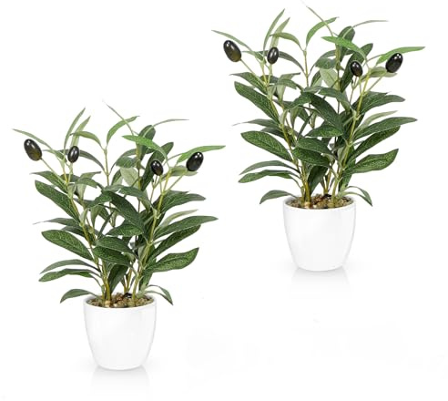 Bludrfnly Lot de 2 oliviers artificiels en pot de 25 cm - Plantes artificielles comme de véritables olivier - Décoration pour salon, chambre à coucher, salle de bain, bureau (avec pot en céramique)