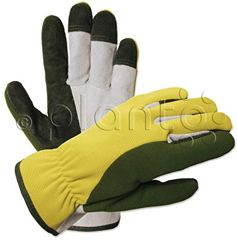 planto Leder-Gartenhandschuhe Flex, Gr. 8, Profi Arbeitshandschuhe aus bestem Rindsleder, Thornproof Gloves (3 Paar)
