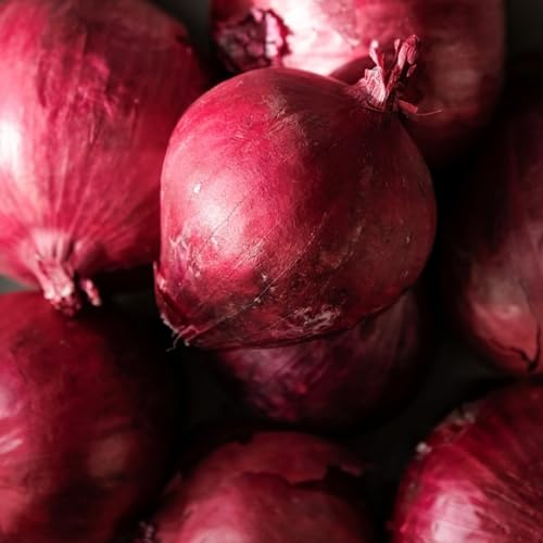Red Onion Seeds – 115 Fresh Red Baron Onion Seeds – Plant and Grow Your Own Vegetables Ideal for Greenhouse, Garden, Polytunnel, Large Pots or Containers – Packed in The UK by Meldon Seeds