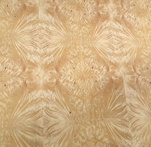 Aibote Feuille de Placage en Bois de ronce de Camphre doré de Birmanie(60 x 250 cm) Feuilles de Restauration de Meubles pour Meubles de Cuisine de Table d'hôtel à la Maison(qualité AAA)