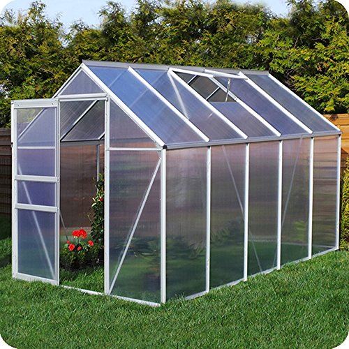 Aluminium Gewächshaus 250x310 cm - 7,75 m² mit Fundament - 6mm Verglasung, Silber, Garten Pflanzenhaus 11,58m³ Alu Treibhaus Tomatenhaus