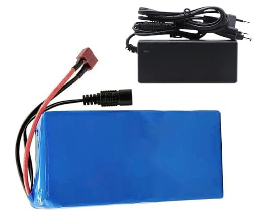 Batteria per Ebike 24V 10Ah 13S2P Batteria agli ioni di litio per E-Bike Bicicletta elettrica Scooter, Kit controller per E-Bike Scooter con caricabatterie 10AH+T+DC