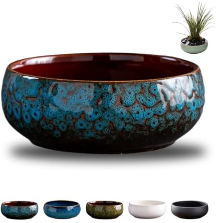 Fioriera a forma di loto, ciotola in ceramica per fiori di loto, ciotole retrò per piantare in acqua all'interno, vasi di loto per piante acquatiche, applicabile a piante grasse idroponiche (blu)