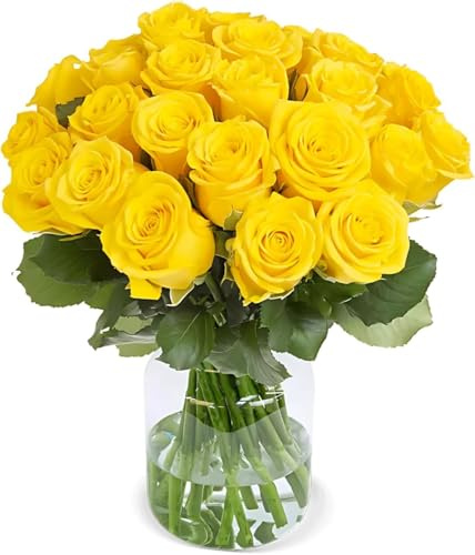 Blume Ideal Rosenstrauß - 30 Rosen - Gelb - Ø 40–50 cm - Echte premium Blumen für Hochzeit & Deko - 7 Tage Frischegarantie - in verschiedenen Farben und Mengen