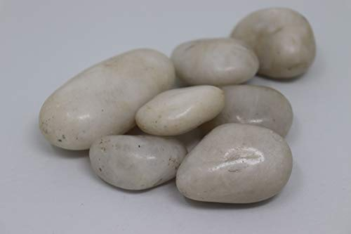 Aquagart Polierte Kieselsteine Dekosteine I Glanzkies Große Kieselsteine Flusskiesel Deko-Steine für Garten I Gartenteich Steine Teichkies Zierkies Gartenkies Ziersteine (20kg, Weiß)