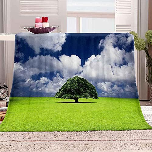 Kuscheldecke 80 x 150 cm 3D Wiese Flanell Fleecedecke, Weich Warm Flauschig Decke Landschaft Wohndecke Decken für Sofadecke Couchdecke kuscheldecken für Kinder Erwachsene, Blanket