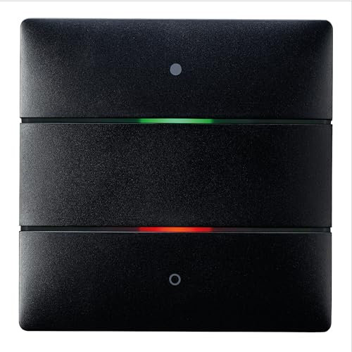 Theben 4801412 I LUXORliving iON2 BK I Tastsensor mit 2 Tasten in Schwarz I Für KNX Smart-Home System LUXORliving I integrierter Temperatursensor I Taster I Schalten/Dimmen/Jalousie