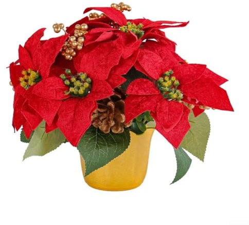 Eleganter roter Weihnachtsstern-Blumenstrauß, schafft eine fröhliche Atmosphäre für Weihnachten