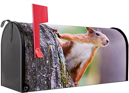 banjado Amerikanischer Briefkasten - US Mailbox/Letterbox mit Motiv Motiv Eichhörnchen 51x22x17cm - Postkasten Stahl aus Amerika – Briefkasten amerikanisch schwarz pulverbeschichtet