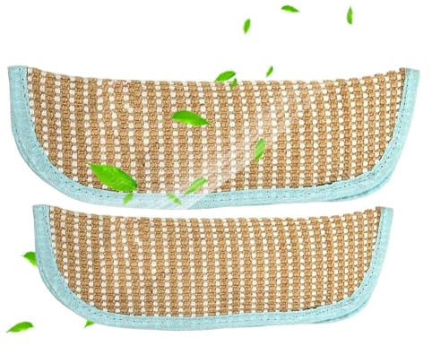 Rukjmqi Jouets À Cataire pour Chats D'Intérieur - 2 Pièces Compagnon Calmant,Coussin À À Chat pour Chats D'Intérieur - pour Animaux De Toutes Races Chambre Bureau Jardin