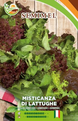 Lattuga Misticanza - Semi di Lattuga Mista con Foglie Verdi e Rosse, Ideale per Insalate Leggere, Facile Coltivazione 1 confezione