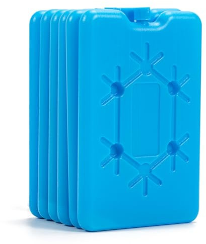 6er Set Kühlakkus, Kühlakkus für Kühlbox oder Kühltasche Klein, 200 ml Ultradünn Kühlakku Groß für Kühltragetasche, 12h Lange Kühlung Flache Kühlelemente Eisbeutel zum Kühlen, Kompressen Kühlpads