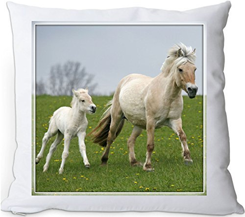 +++ FJORD Fjordpferd Norweger Pferd - Kuschelkissen/KISSEN | PILLOW/Dekokissen - FJO 47