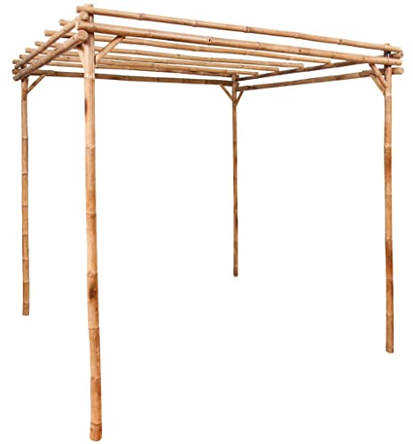 vidaXL Pergola Support pour Plantes Grimpantes Rosiers Patio Extérieur Arrière-Cour Robuste Durable Résistant Bambou 170x170x220 cm