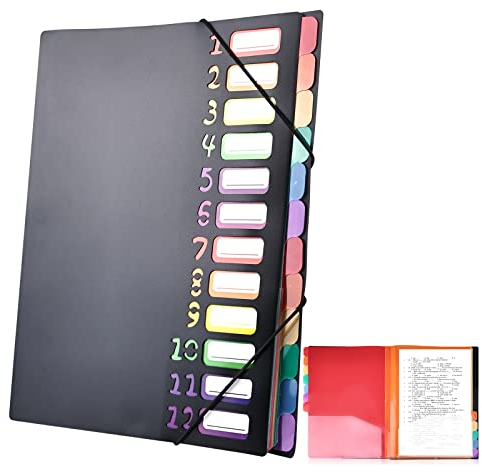 Delamiya Dokumentenmappe A4, Tragbar Fächermappe mit 12 Fächern, PP Kunststoff Ordnungsmappe Pultordner mit Gummizug, Wasserdicht, für Schule Bürobedarf
