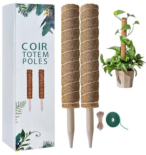 Bastone per Piante, 2Pcs Piante Rampicanti Bastone, Stecche per Piante 40cm, Tutore per Piante, Palo Totem in Fibra di Cocco, Muschio Palo Totem per Piante da Rampicante Estensione