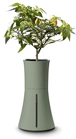 Botanium Hydroponic and Automatic Indoor Gardening Pot, Green