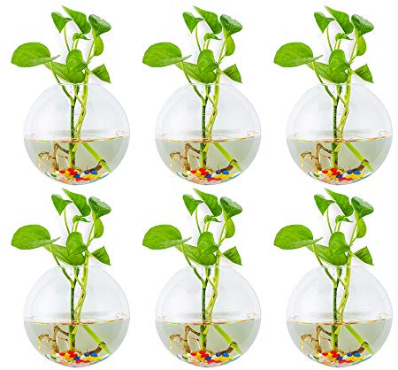 Glasseam Wandbehang Glas Pflanzgefäße 6Stk. Sphärische Form Blumentöpfe Terrarium Behälter Vase mit 6,36 Unzen Bunte Steine ​​Indoor Outdoor für Hausgarten Büro Hochzeit