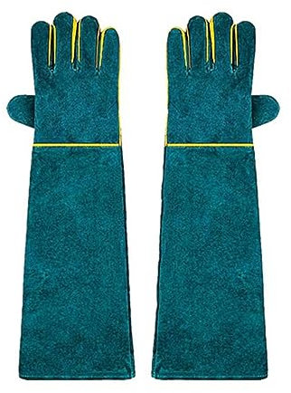 Petyoung Gants de protection anti-morsure pour animal de 58,4 cm pour chat, chien, oiseau, serpent, perroquet, lézard, chien, anti-griffure, pour le jardinage, les animaux sauvages - Vert