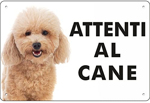 Pubblimania Cartello Attenti al Cane Barboncino - Targa Segnaletica in Alluminio composito 3 mm di spessore - Resistente alle Intemperie e ai Raggi UV - Fori Pre-perforati (Cm 20x15)