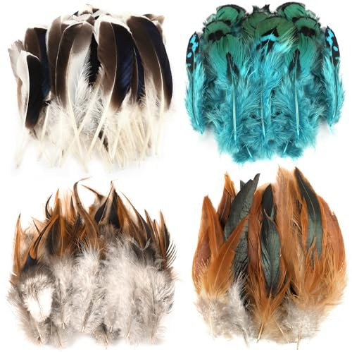 Fzyisw 200 Stück 4 Stil Federn zum Basteln, Natur Feder, Osterdeko Bastelfedern, Federn Deko, Fasanfedern für Bastelprojekte Traumfänger DIY Ohrringe Faschingskostüme Party-Masken Ostereier Deko