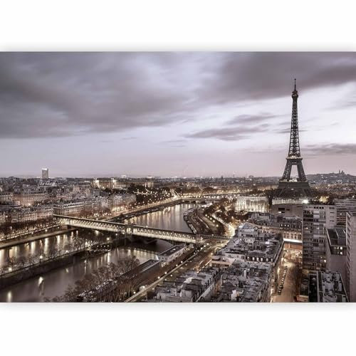 murando - Papier peint panoramique ville 450x315 cm - Revêtement mural décoration salon - Design moderne - Blanc noir marron - Architecture france ville paris fleuve tour eiffel d-B-0207-a-c