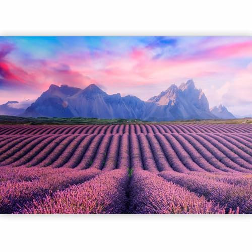 murando - Papier Peint Panoramique Intissé Épais Salon, Paysage, 250x175 cm