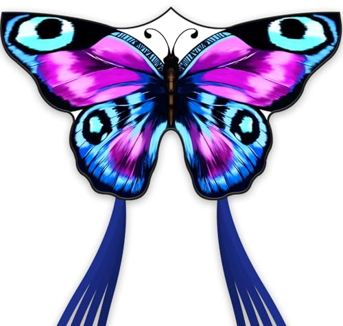 SGftre Butterfly Kite - Cometa de playa, cometa para niños, cometa grande fácil de volar para niños de 2 a 4 años, niños de 4 a 8 y 8 a 12 años, adultos (mariposa ojo de gato)