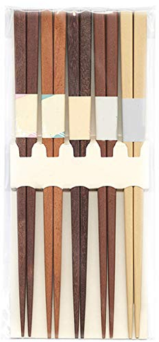 Set regalo di bacchette riutilizzabili in legno con custodia, set di bacchette per sushi giapponesi, bacchette cinesi di lusso in legno naturale, bacchette antiscivolo, bacchette lavabili in lav