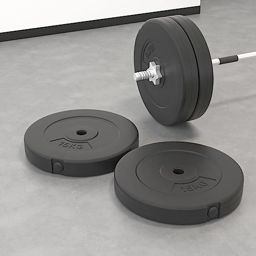 Runheo Hantelscheiben 2 STK 30 kg Zement mit Kunststoffbeschichtung, Durchmesser 39 cm, Loch 2,7 cm, passend für Langhantel 2,5 cm, Krafttraining Zuhause, Muskelaufbau Fitness Workout