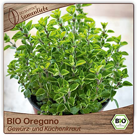 Samenliebe BIO Oregano Samen alte Sorte Gewürz- und Küchenkraut Weiß Rosa 2000 Samen samenfestes Kräuter Saatgut für Küche indoor und Balkon Garten BIO Kräutersamen mehrjährig und winterhart