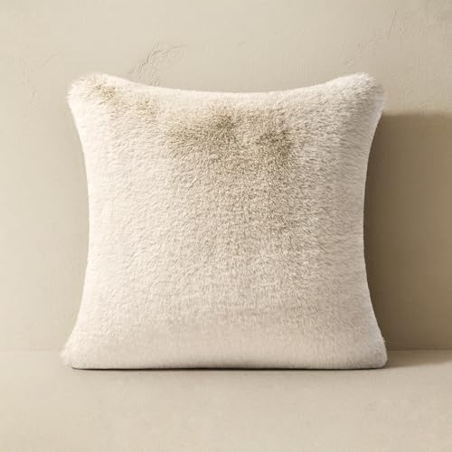 EVERGRACEHOME Luxury Soft Faux Chinchilla Fur Throw Pillow Cover 1 Piece, Decorative Plush Fluffy Cozy Mink Pillow Case 20x20 for Couch, Square Cushion Cases for Sofa Bed Living Room, Birch Mink