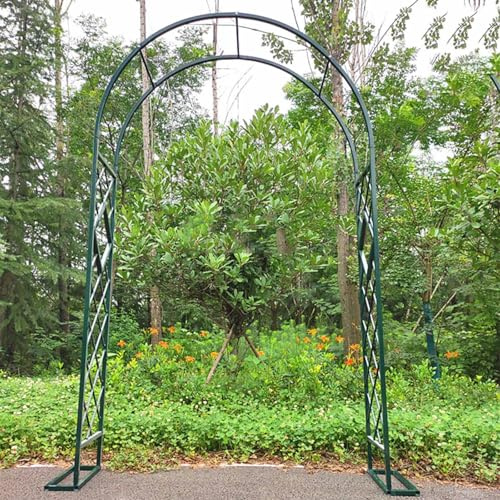 Generisch Heavy Duty Rosenbogen Metall Gartenbogen für Kletterpflanzen, Breite 140cm 160cm 180cm 200cm 220cm 240cm 260cm 280cm 300cm 320cm 340cm Torbogen Rankhilfe Rankgitter(Green,W160 X H230cm)