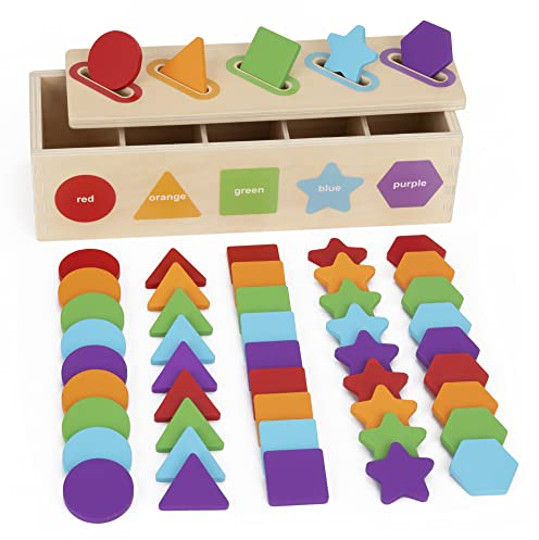 Montessori Spielzeug ab 1 2 3 Jahre | Holz Farbsortierung & Stapeln Passende Spielzeuge | Lernsortierspielzeug für Kleinkinder | Lernspielzeug als Geschenk für 2 jährige Jungen und Mädchen