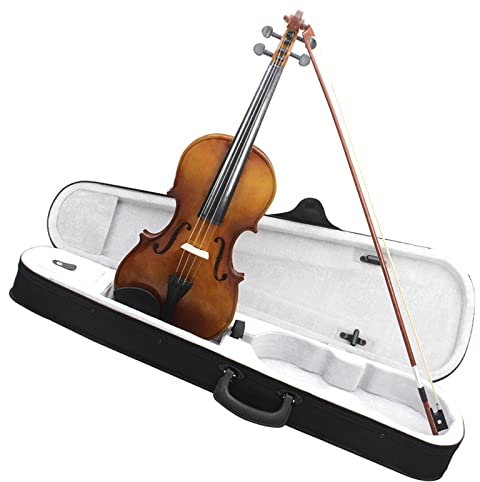 TSTS Violine anfänger 4/4 Massivholz Natürliche Akustische Violine Lindenholz Geige Professionelles Musikinstrument Mit Etui Geigenbogen