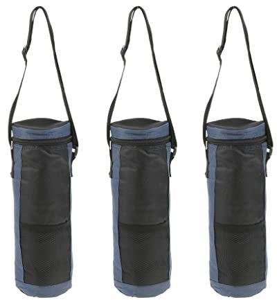 barenx 3 x 2 l Flaschen-Kühltasche, Picknick, Festival, Outdoor-Getränke
