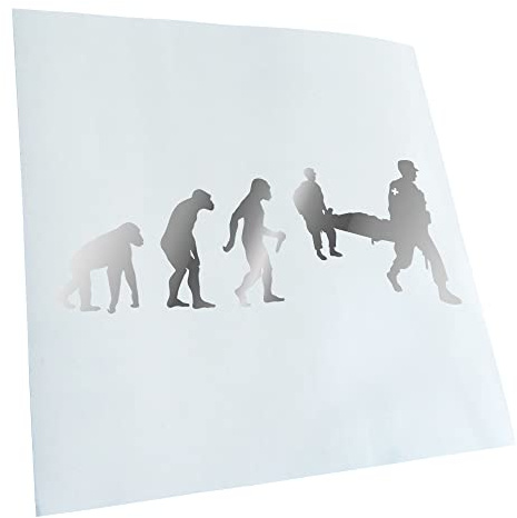 Kiwistar - Autoaufkleber - Sanitäter Rettung Evolution - Chrom - 20x7,8cm - Heckscheibe Auto Aufkleber wetterfest für Kfz LKW Mofa Truck - Sticker außen selbstklebend Tuning Zubehör für Fenster