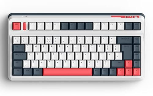 IQUNIX Clavier mécanique L80 Formula (disposition britannique), TKL sans fil 2,4 GHzBluetooth 5.0clavier de jeu filaire de type C avec 84 touches, touches PBT remplaçables à chaud Cherry MX Reds,