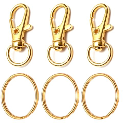 80 Stück Schlüsselring Metall Klein Karabiner Schlüsselanhänger Basteln Selber Machen Ringe Karabinerhaken mit Drehgelenk-Golden（ 40 Schlüsselanhänger und 40 Ringe）
