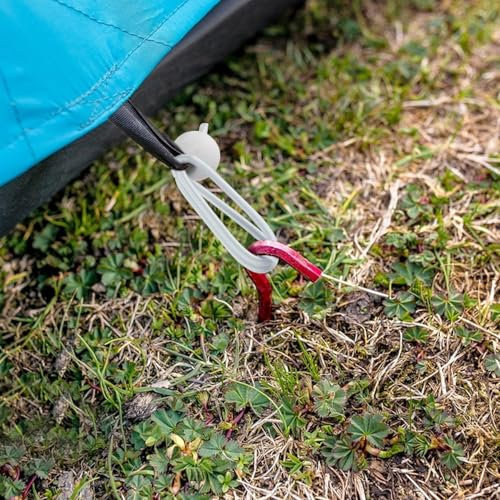 Qulamrdk Elastisches Seil Mit Kugel Gummiseile Spanngummi Kurz Planenbefestigung Zeltgummis Expanderschlinge Geeignet für Planenplakat-Werbebanner-Bauzaun(B,100)