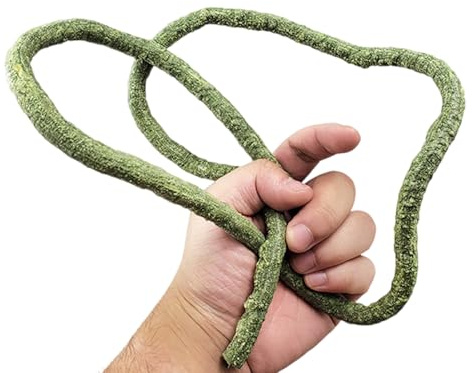 Qsvbeeqj Terrarium pour aquariums, reptiles, vigne grimpante, plantes, aquariums, terrarium pour amphibiens, lézards, serpents, escalade, fournitures pour animaux domestiques